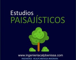 ESTUDIOS PAISAJÍSTICOS